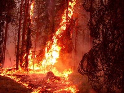 Σε πύρινο κλοιό η Καλιφόρνια