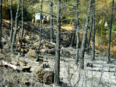 Αποκαρδιωτικό το τοπίο που άφησε η πυρκαγιά στην Κύπρο