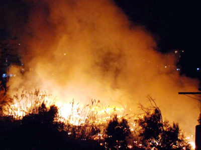 Υπό μερικό έλεγχο η πυρκαγιά στη Θάσο