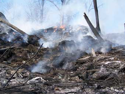 Σκότωσε και έκαψε τον αντίζηλό του
