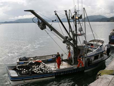 Η υπεραλίευση απειλεί τον πληθυσμό του τόνου