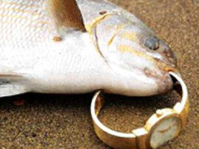 Η σωστή ώρα για… ψάρεμα