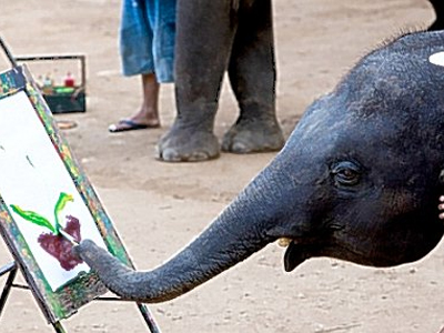 Ο ελέφαντας που… ζωγραφίζει