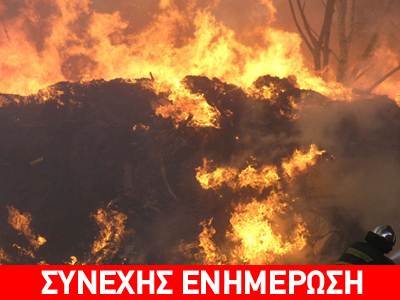 Υπό έλεγχο οι πυρκαγιές σε Φθιώτιδα και Βόλο