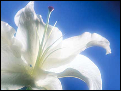 Η απόλυτη μοναξιά…