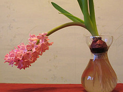 «Καμπανάκι» για καρδιακή προσβολή η στυτική δυσλειτουργία