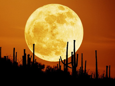 ΤΑ ΝΕΑ ΤΟΥ ΜΠΙ-ΚΟΥ-ΤΙ