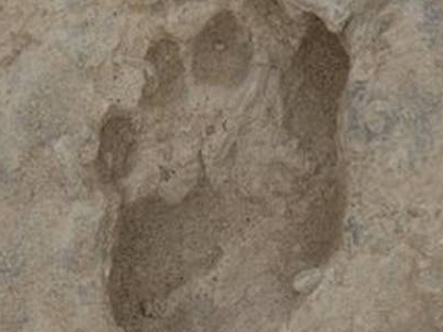 Πατημασιές «ηλικίας» 1,5 εκατομμυρίων ετών