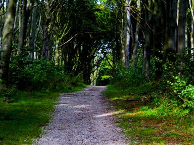 Μυστήριο με πτώμα νεαρού στην Αργυρούπολη