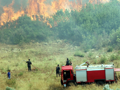 Υπό έλεγχο οι πυρκαγιές