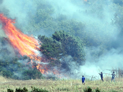 Πυρκαγιές από πτώση κεραυνών