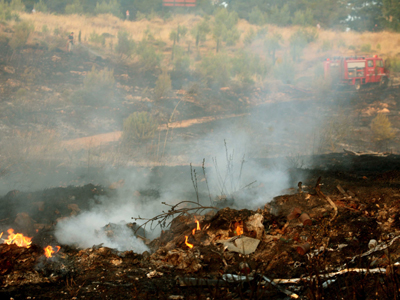 Οι πυροσβέστες βρήκαν χασισοφυτεία