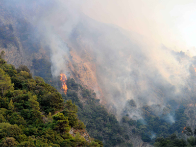 Έσβησε η φωτιά στη Λούτσα
