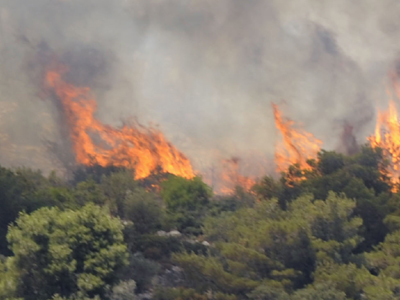 Έσβησε η φωτιά στη Σταμάτα Αττικής
