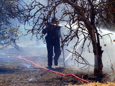 Κατασβέστηκε η φωτιά στο Δελβινάκι