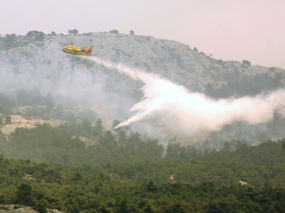 Συνέλαβαν εμπρηστές