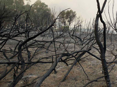 Πού πήγαν τα χρήματα των ομογενών;