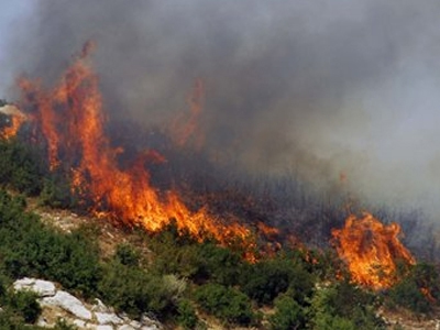 Έσβησε η πυρκαγιά στο νομό Τρικάλων