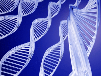 Για όλα φταίνε τα γονίδια