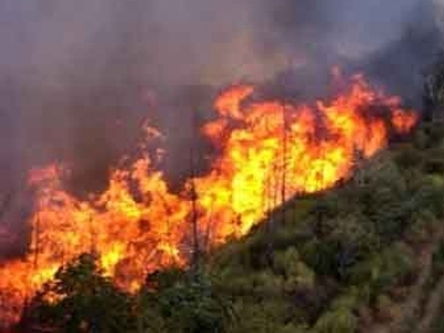 Υπό μερικό έλεγχο η πυρκαγιά στην Αμαλιάδα