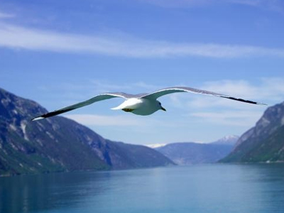 Τον έστειλαν… παραλία