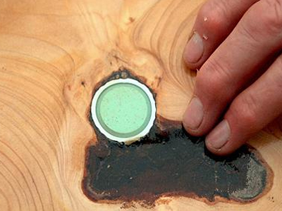 Μπαλάκι του γκολφ μέσα σε… κορμό δέντρου