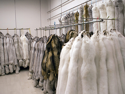 Έκλεψαν γούνες αξίας 100.000 ευρώ