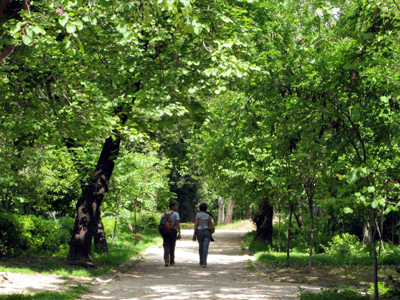 Βραβείο για την πιο “πράσινη” πόλη