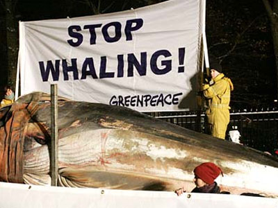 Διαμαρτυρία της Greenpeace για το κυνήγι φαλαινών