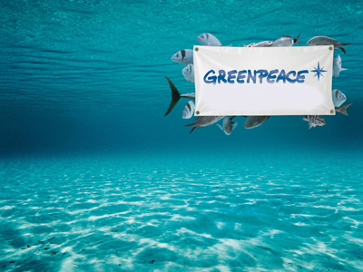 Η Greenpeace για την ανάγκη δημιουργίας θαλάσσιου καταφυγίου