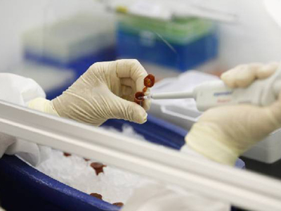 Τα 97 έφτασαν τα κρούσματα της νέας γρίπης