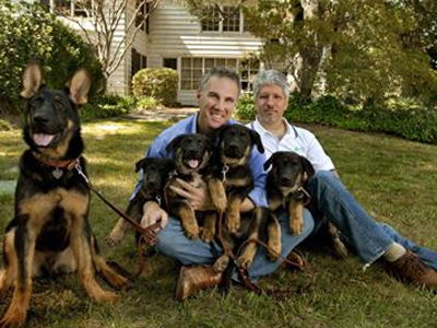 Πέντε κουτάβια με…DNA διασώστη