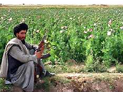 Κατέσχεσαν τρεις τόνους μορφίνης στο Αφγανιστάν