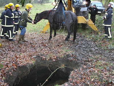 Άλογο έπεσε… σε πηγάδι