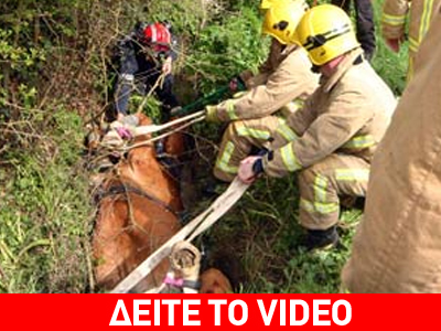 Διάσωση αλόγου… από χαντάκι
