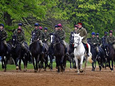 Θα δώσει μια «περιουσία» για να μεταφέρει αεροπορικώς τα άλογά του