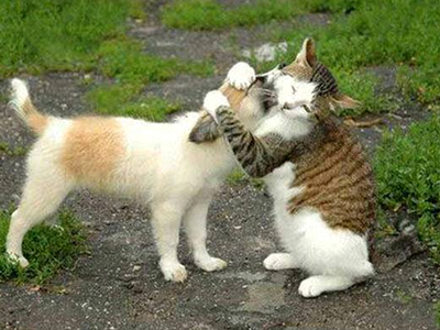 Συντροφικά… αγκαλιάσματα