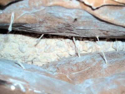 Συνελήφθη Αλβανός έμπορος ναρκωτικών