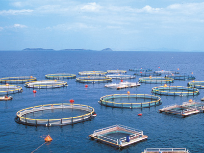 Οικολογικό έγκλημα στην ανατολική Κρήτη