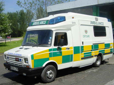 Σκύλος δάγκωσε τρίχρονη Ιρλανδή