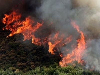 Υπό μερικό έλεγχο η πυρκαγιά στην Αργολίδα