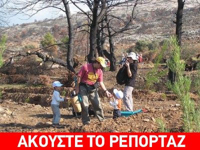 Αναδάσωση στο Πεντελικό Όρος