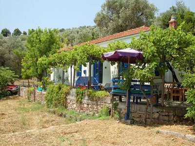 Mesdames aux les noire chat από το Λιβάδι!