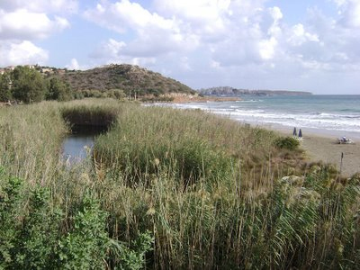 Να απαγορευτεί η καύση των καλαμιών