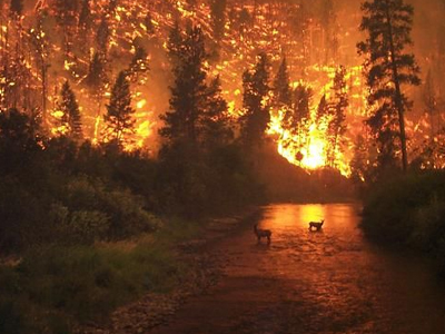 Καίγεται η Καλιφόρνια
