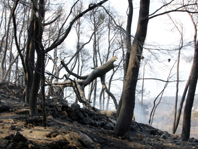 Κοιμηθείτε ήσυχοι…