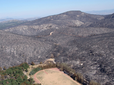 Ετοιμάζονται να χτίσουν και τα καμένα της Πάρνηθας