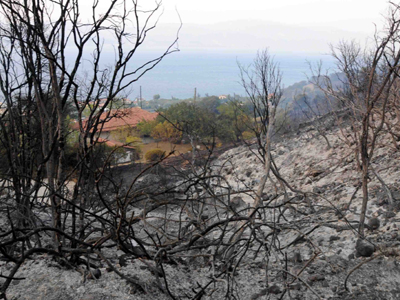 Συνέλαβαν εμπρηστή