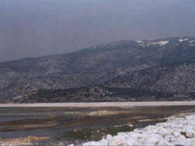 Γεμίζει η Κάρλα