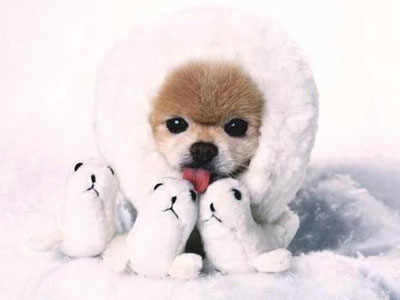 Λέμε όχι στις γούνες